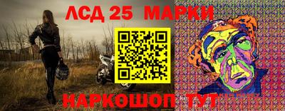 apvp Славгород