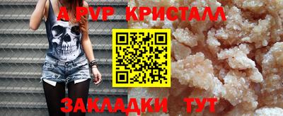 apvp Славгород