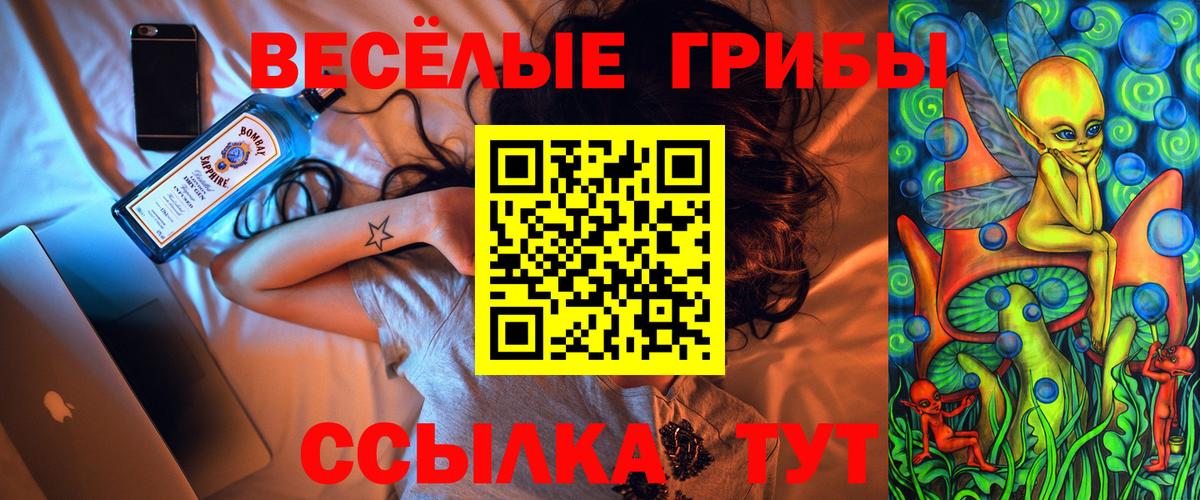 Галлюциногенные грибы Psilocybe Бердск