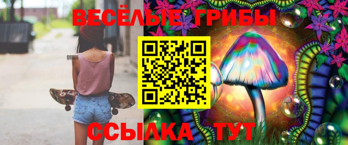 Псилоцибиновые грибы Psilocybine cubensis  Вход с VPN  Бердск 